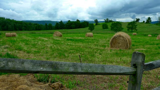 The hay had recently been mowed and there were rolls of freshly cut hay in the field - a beautiful and serene photo. Photo credit: Neil Golub