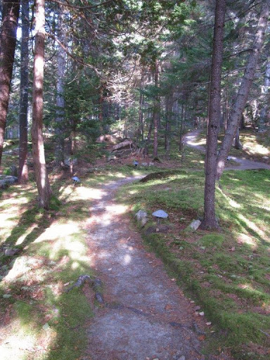 This is the path from the Guest House to the Playhouse. All the soft pine needles that line the paths have been removed for the winter and will be replaced in the spring.