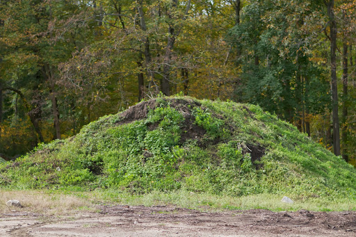Obviously, this pile has weeds growing on it, which means the weed seeds are still viable. With proper turning and heating from decomposition, this too, will become
