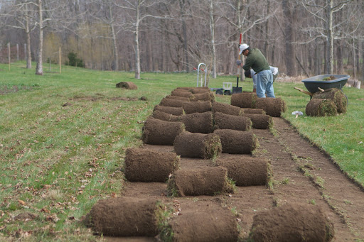 The sod was rolled up and relocated. This new growing area will be rototilled and enriched with compost.
