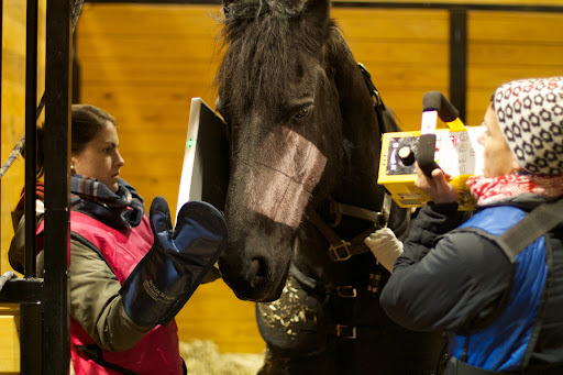 This x-ray will show if there are any remaining broken fragments of tooth.
