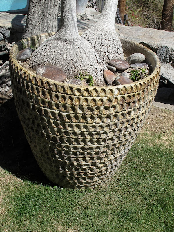 Photos from my trip to Palm Springs The Martha Stewart Blog