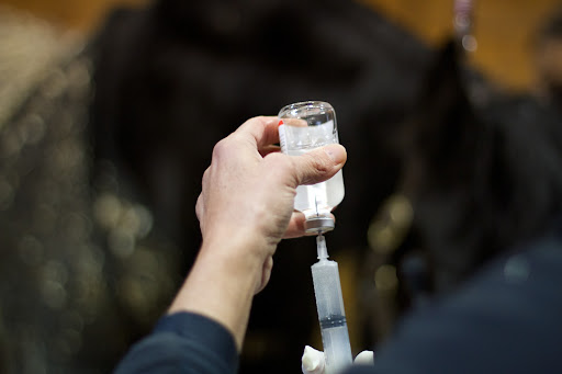 Elizabeth prepared the injection.