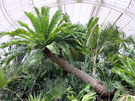 Royal Botanic Gardens, Kew - The Martha Stewart Blog