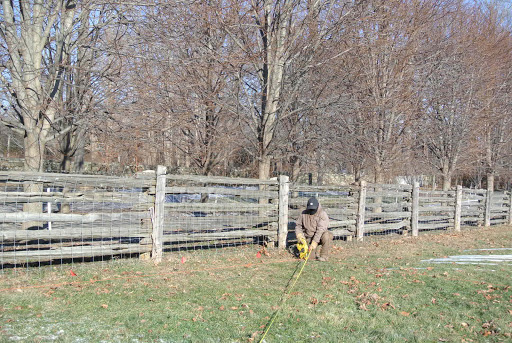 cloud is ground level called w at what Martha Blog Expanding the Stewart The Peafowl Pen