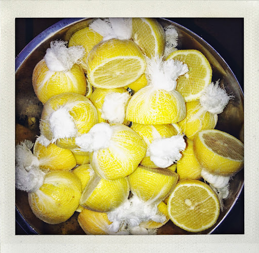 A Guest Blog From Skylands By Douglas Friedman The Martha Stewart Blog