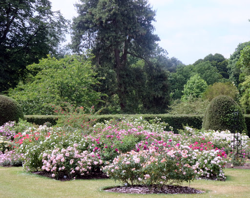 Royal Botanic Gardens, Kew - The Martha Stewart Blog