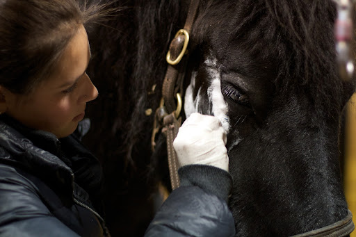 Nicole Chiarullu, an assistant, cleaned the area where the local anesthesia was administered.