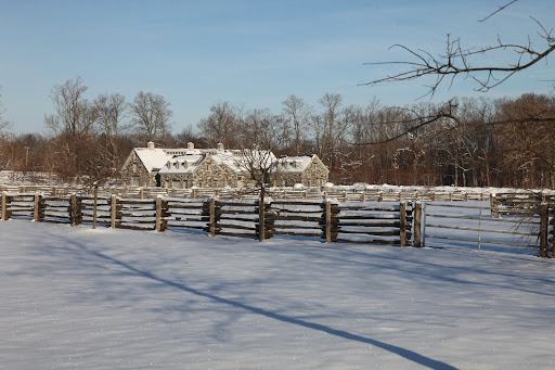 After the Snow Stopped Falling - The Martha Stewart Blog