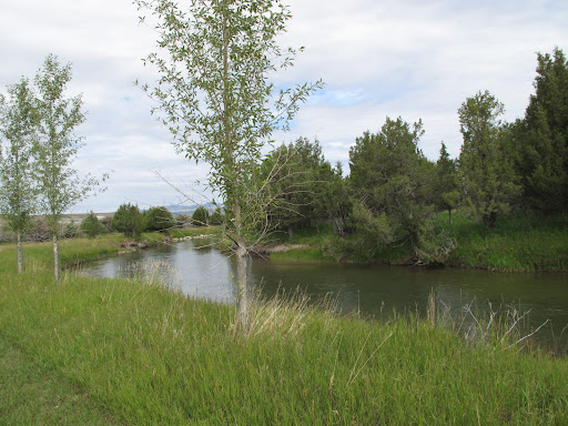 Day Two in Montana, Riding with Ted Turner - The Martha Stewart Blog