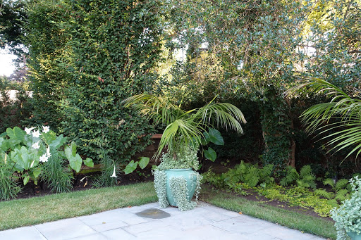 An Update on My Lily Pond Garden - The Martha Stewart Blog