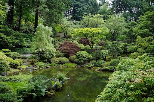 A Walk Through Portland Japanese Garden - The Martha Stewart Blog