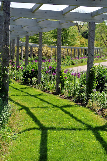 My Long Clematis Pergola - The Martha Stewart Blog