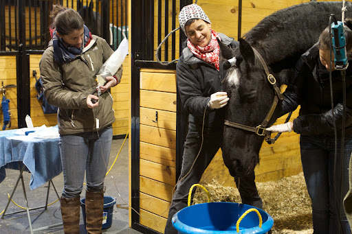 After flushing the sinus, the solution naturally exits through the nose into a bucket.