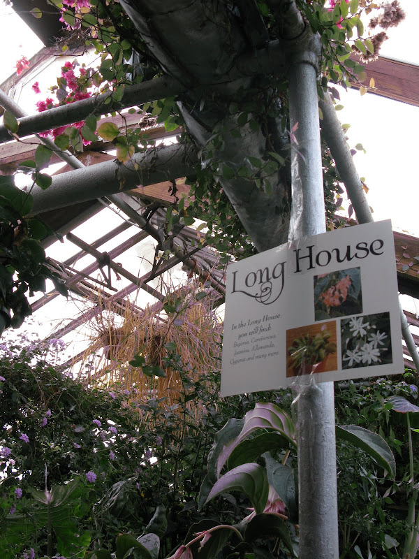 A Visit to Logee's Tropical Plants The Martha Stewart Blog
