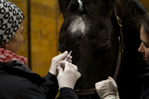 The local anesthesia was injected.