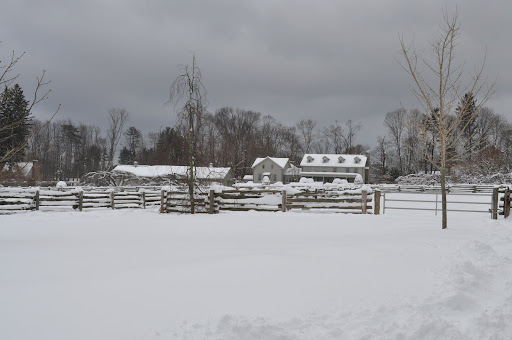 The Emergency Room Snowstorm and great clip from CNN - The Martha ...