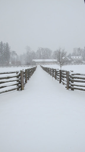 A Snowy Day at the Farm - The Martha Stewart Blog